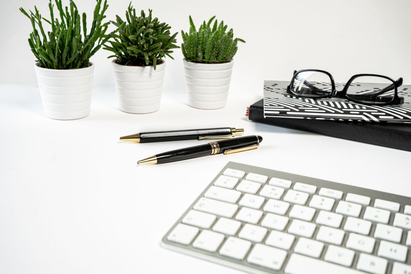 Bright desk with potted plants, pens and keyboard